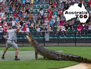 australia-zoo-sunshine-coast